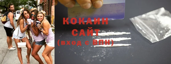 сатива Белокуриха
