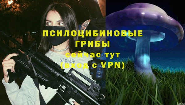 сатива Белокуриха