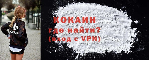 сатива Белокуриха