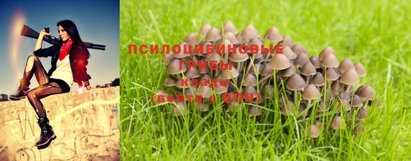сатива Белокуриха