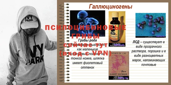 сатива Белокуриха
