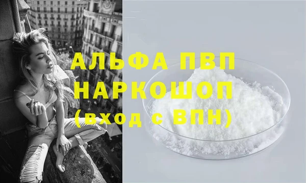 сатива Белокуриха