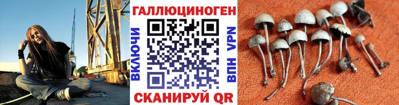 Псилоцибиновые грибы мухоморы Вязьма